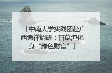 中南大学实践团赴广西凭祥调研：甘蔗渣化身“绿色财富”