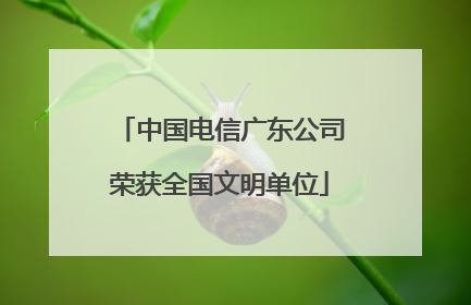 中国电信广东公司荣获全国文明单位