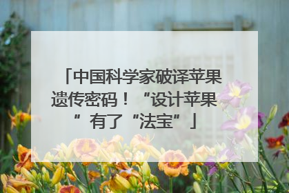 中国科学家破译苹果遗传密码！“设计苹果”有了“法宝”