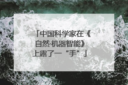 中国科学家在《自然·机器智能》上露了一“手”