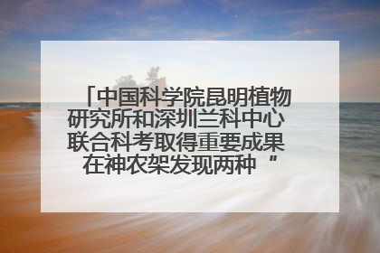 中国科学院昆明植物研究所和深圳兰科中心联合科考取得重要成果 在神农架发现两种“国保”级兰花