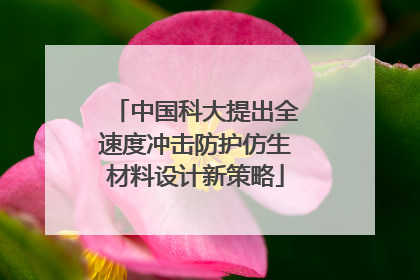 中国科大提出全速度冲击防护仿生材料设计新策略