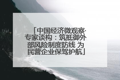 中国经济微观察·专家谈构：筑抵御外部风险制度防线 为民营企业保驾护航
