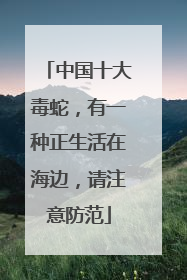 中国十大毒蛇，有一种正生活在海边，请注意防范