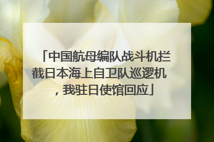 中国航母编队战斗机拦截日本海上自卫队巡逻机，我驻日使馆回应