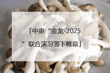中柬“金龙-2025”联合演习落下帷幕