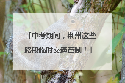中考期间，荆州这些路段临时交通管制！