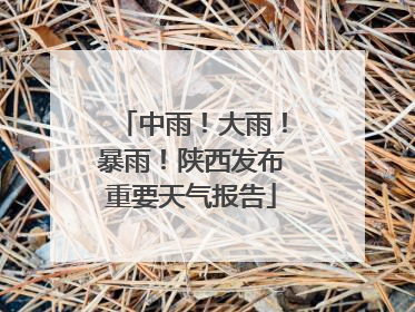 中雨！大雨！暴雨！陕西发布重要天气报告