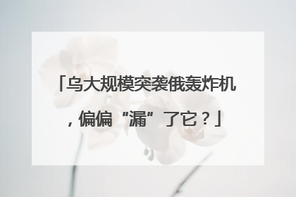 乌大规模突袭俄轰炸机，偏偏“漏”了它？
