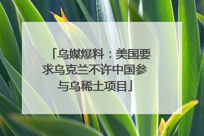 乌媒爆料：美国要求乌克兰不许中国参与乌稀土项目