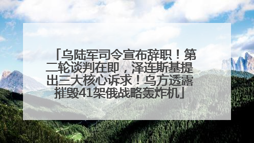 乌陆军司令宣布辞职！第二轮谈判在即，泽连斯基提出三大核心诉求！乌方透露摧毁41架俄战略轰炸机