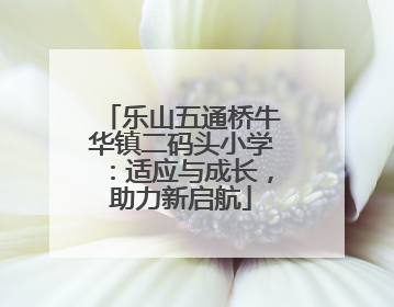 乐山五通桥牛华镇二码头小学：适应与成长，助力新启航