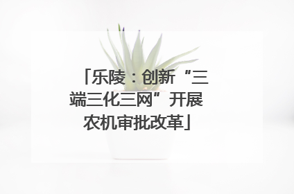 乐陵：创新“三端三化三网”开展农机审批改革