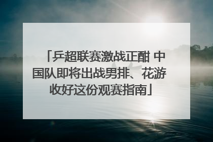 乒超联赛激战正酣 中国队即将出战男排、花游 收好这份观赛指南