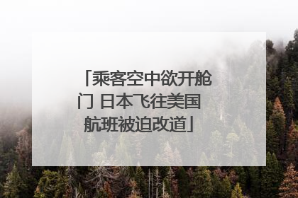 乘客空中欲开舱门 日本飞往美国航班被迫改道