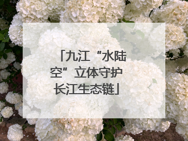 九江“水陆空”立体守护长江生态链