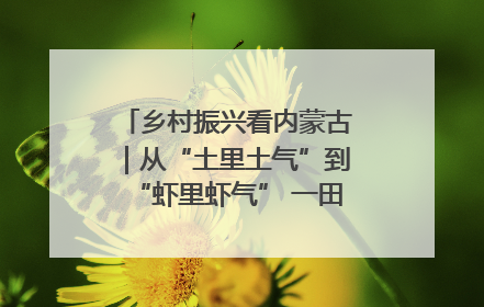 乡村振兴看内蒙古｜从“土里土气”到“虾里虾气” 一田双收模式火出圈