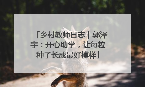 乡村教师日志｜郭泽宇：开心助学，让每粒种子长成最好模样