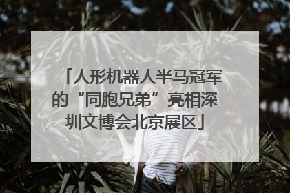 人形机器人半马冠军的“同胞兄弟”亮相深圳文博会北京展区