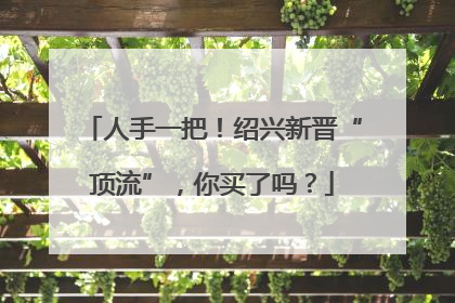 人手一把！绍兴新晋“顶流”，你买了吗？