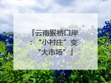 云南猴桥口岸：“小村庄”变“大市场”