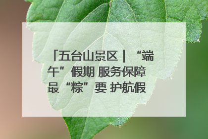 五台山景区｜“端午”假期 服务保障最“粽”要 护航假期“不打烊”