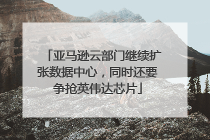 亚马逊云部门继续扩张数据中心，同时还要争抢英伟达芯片