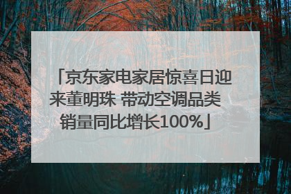 京东家电家居惊喜日迎来董明珠 带动空调品类销量同比增长100%