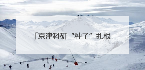 京津科研“种子”扎根河北，产业“土壤”培育创新“参天大树”