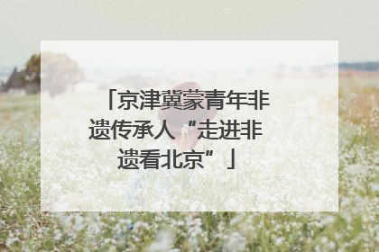 京津冀蒙青年非遗传承人“走进非遗看北京”