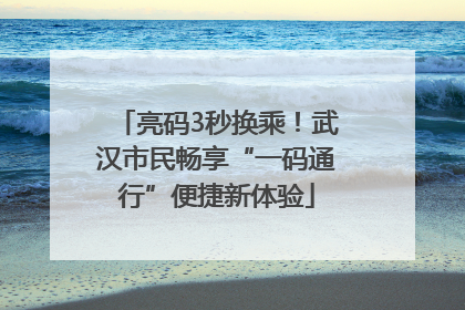 亮码3秒换乘！武汉市民畅享“一码通行”便捷新体验