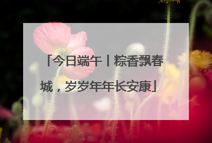 今日端午丨粽香飘春城，岁岁年年长安康