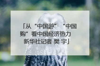 从“中国游”“中国购”看中国经济热力 新华社记者 樊 宇