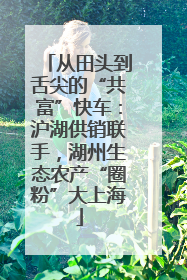 从田头到舌尖的“共富”快车：沪湖供销联手，湖州生态农产“圈粉”大上海