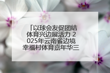 以球会友促团结 体育兴边展活力 2025年云南省边境幸福村体育嘉年华三人篮球赛圆满收官