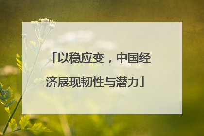 以稳应变，中国经济展现韧性与潜力