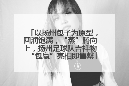 以扬州包子为原型，圆润饱满，“蒸”腾向上，扬州足球队吉祥物“包赢”亮相即售罄