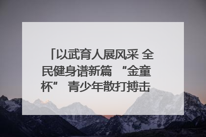 以武育人展风采 全民健身谱新篇 “金童杯” 青少年散打搏击邀请赛圆满落幕