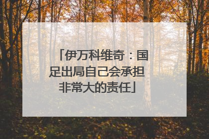 伊万科维奇：国足出局自己会承担非常大的责任