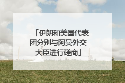 伊朗和美国代表团分别与阿曼外交大臣进行磋商