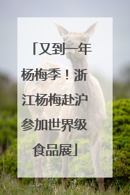 又到一年杨梅季！浙江杨梅赴沪参加世界级食品展