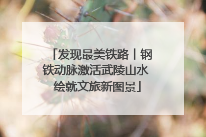 发现最美铁路丨钢铁动脉激活武陵山水 绘就文旅新图景
