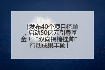 发布40个项目榜单，启动50亿元引导基金！“双向揭榜挂帅”行动成果丰硕