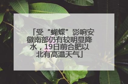 受“蝴蝶”影响安徽南部仍有较明显降水，19日前合肥以北有高温天气