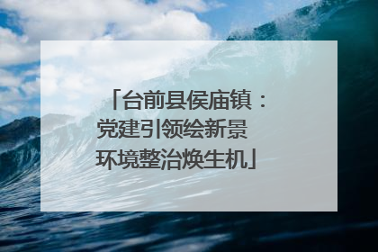 台前县侯庙镇：党建引领绘新景 环境整治焕生机
