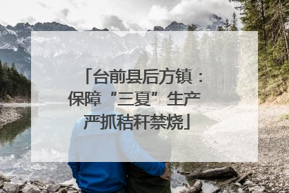 台前县后方镇：保障“三夏”生产 严抓秸秆禁烧