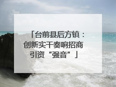 台前县后方镇：创新实干奏响招商引资“强音”