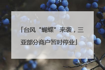 台风“蝴蝶”来袭，三亚部分商户暂时停业