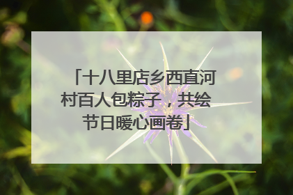 十八里店乡西直河村百人包粽子，共绘节日暖心画卷