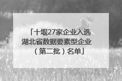 十堰27家企业入选湖北省数据要素型企业（第二批）名单